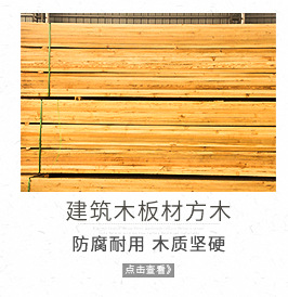 林场直采绿化公园专用松木桩 4米6米工地打桩 防讯木桩批发-阿里巴巴