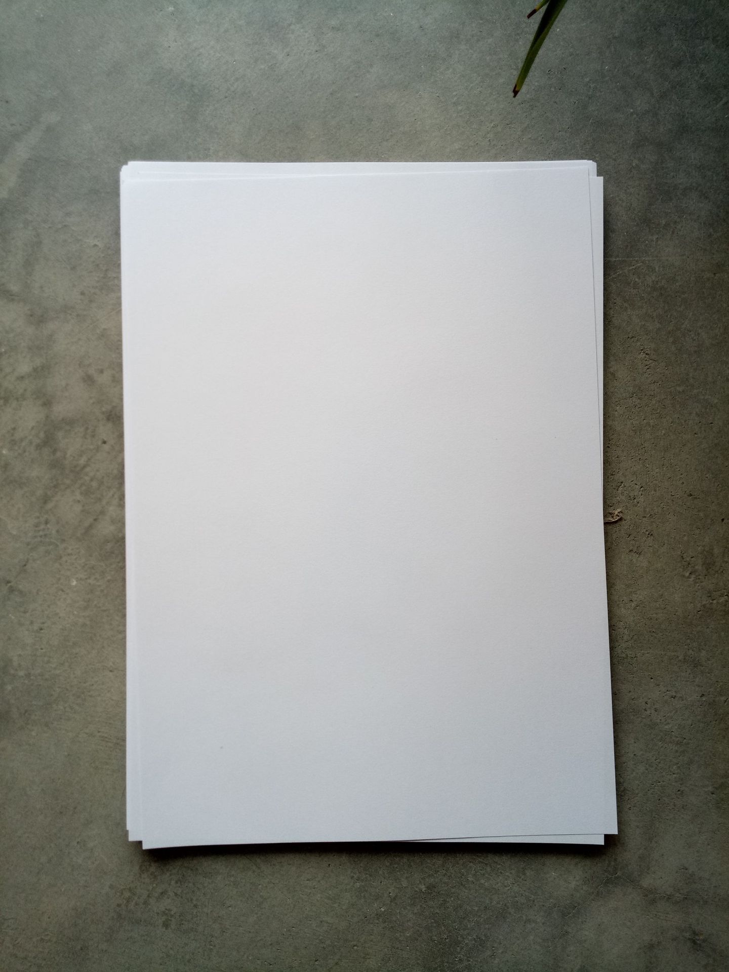 80克全木桨双胶纸