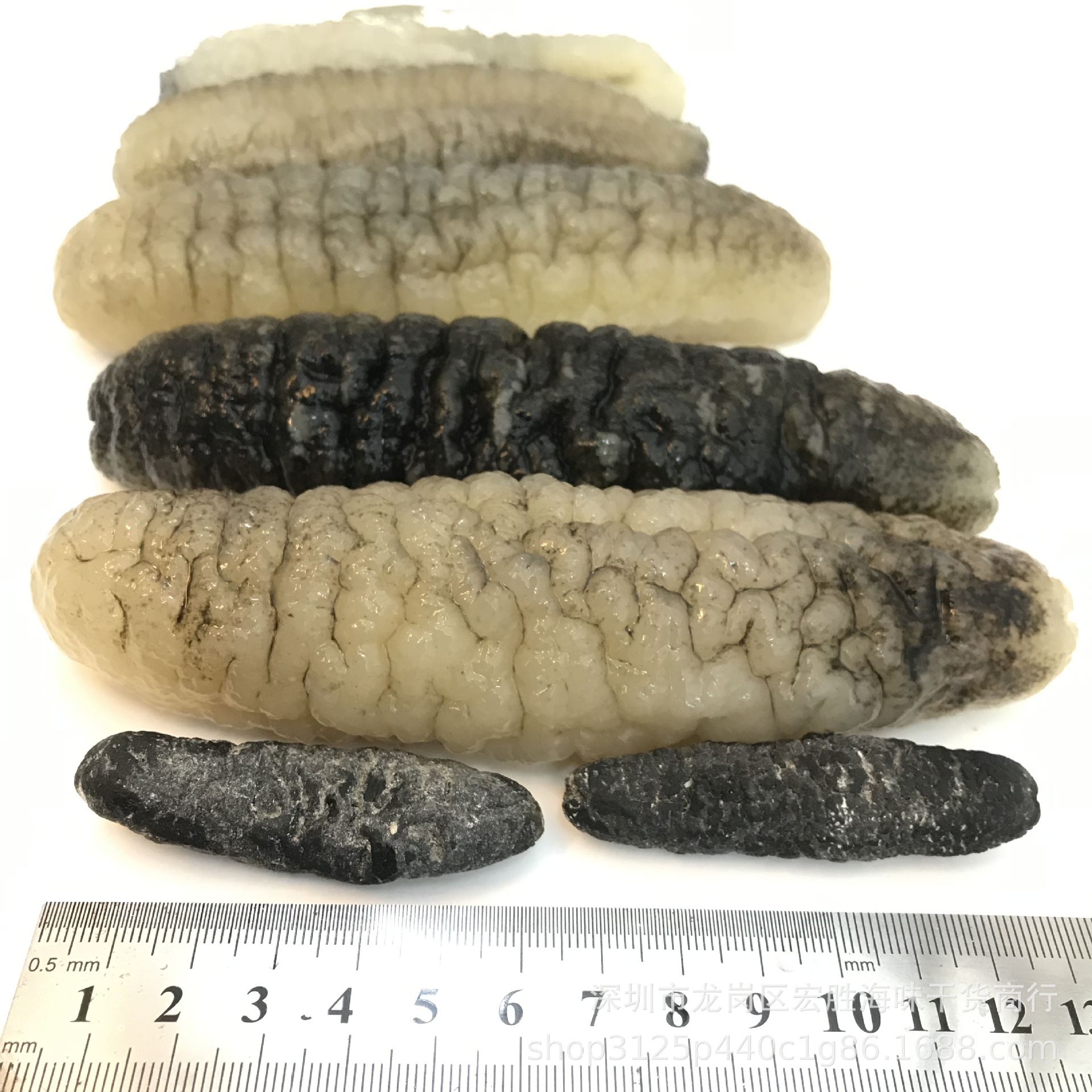 明秃参深海白秃参 淡干海参干货泡发率8倍