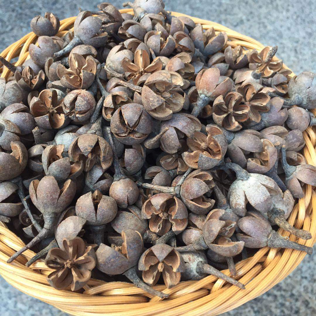 供应十字果批发开心果装饰工艺品原材料圣诞节装饰香薰十字果装饰