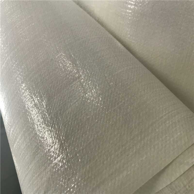 环保覆膜pe编织布 防水白色淋膜双面覆膜塑料pe复合编织布