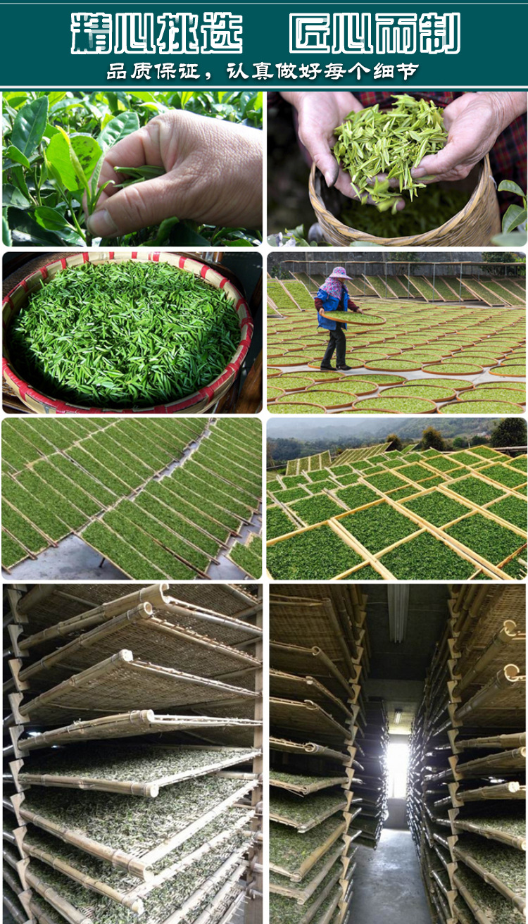 明前头采白毫银针散茶福建白茶小米芽手工白毫银针散茶厂家直销