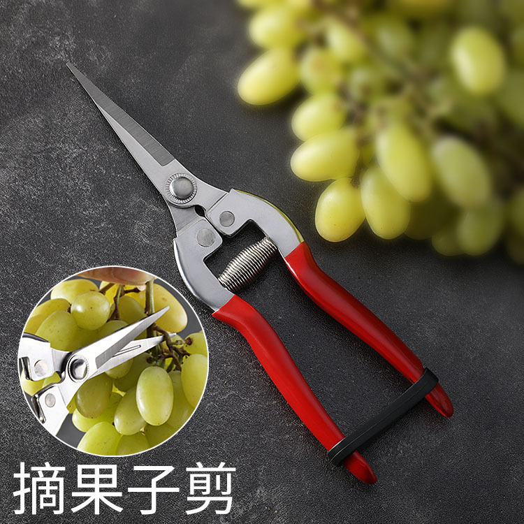 新款葡萄剪刀摘果剪稀果剪盆景修枝园艺园林花枝剪花