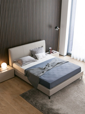 北欧现代简约锐驰1.8米轻奢婚床双人床1.5m设计师风格主卧真皮床