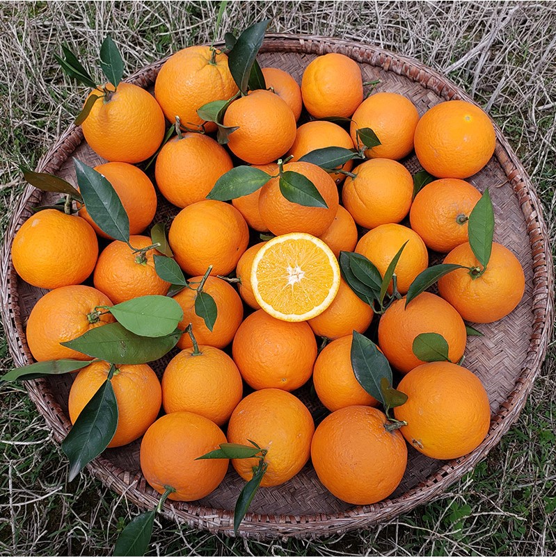 正宗江西赣南脐橙新鲜水果当季橙子皮薄多汁纽荷尔甜橙鲜甜手剥橙