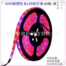 Ebay亚马逊Wish电商爆款5050 3/4/5红1蓝 LED 植物生长灯灯条灯带