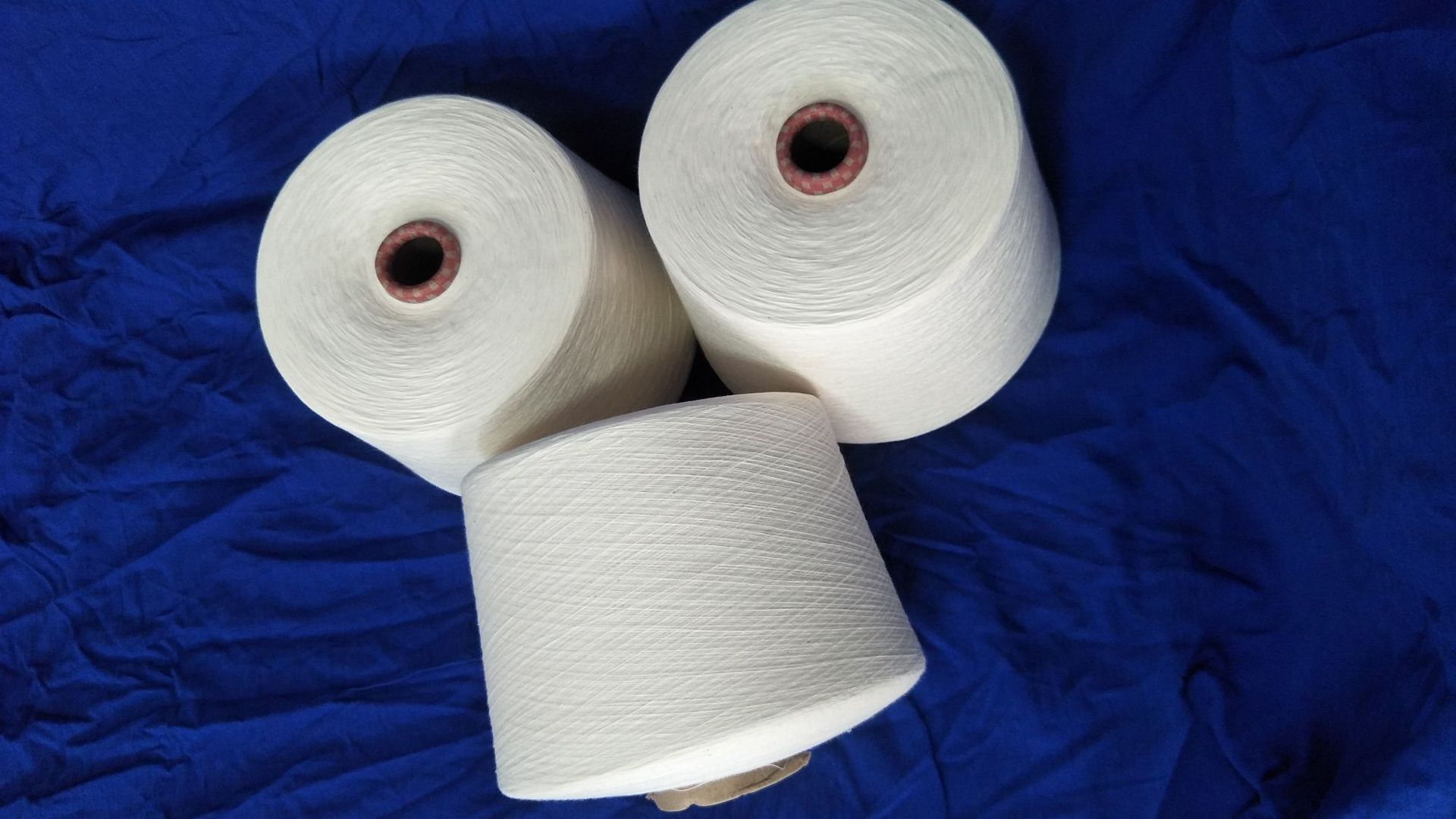 c50/t50 40s 涤棉纱 40支 涤棉混纺纱线 cvc纱线 棉涤纱40支