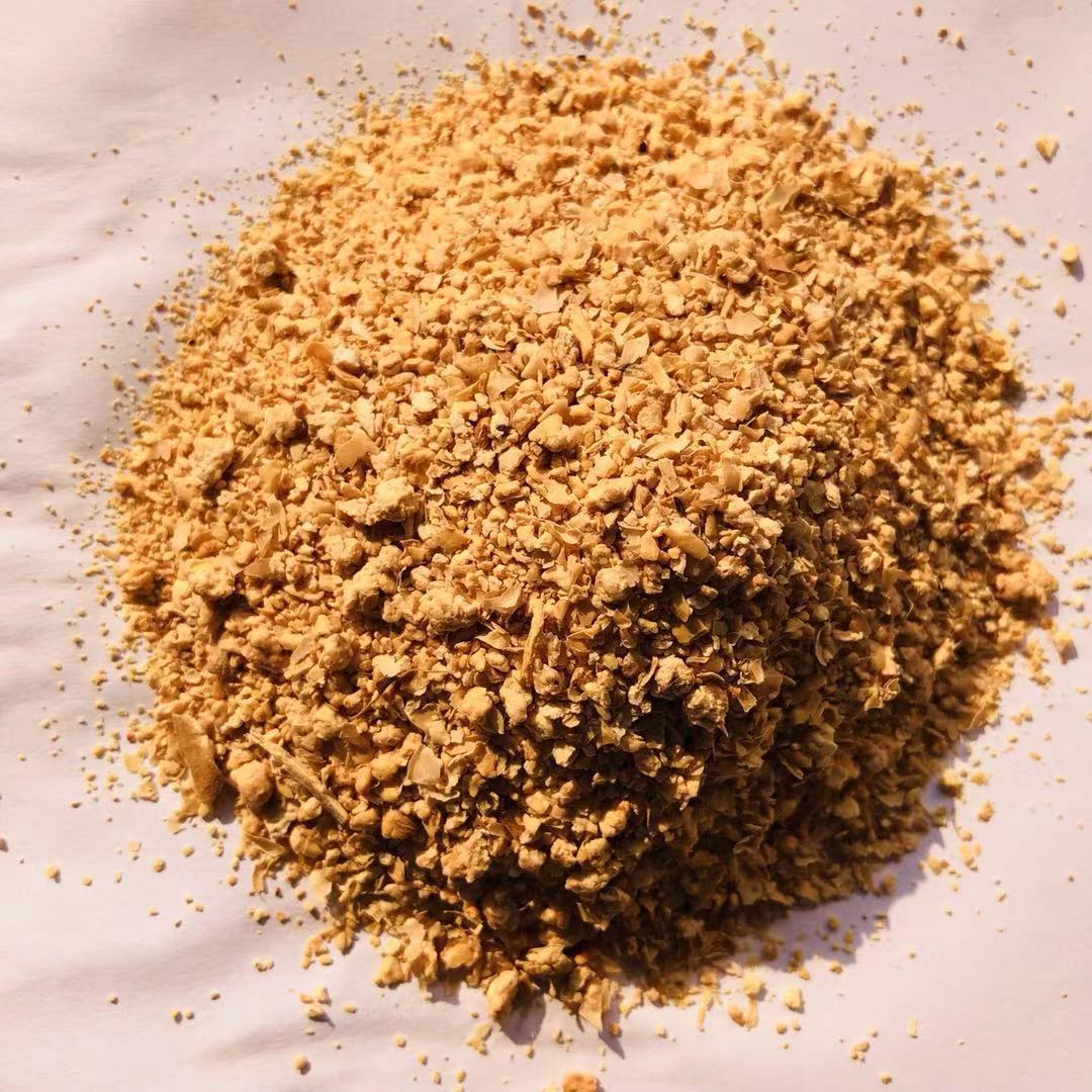 植物性饲料发酵用豆粕牛羊猪饲料畜牧饲料豆粨受损豆粕