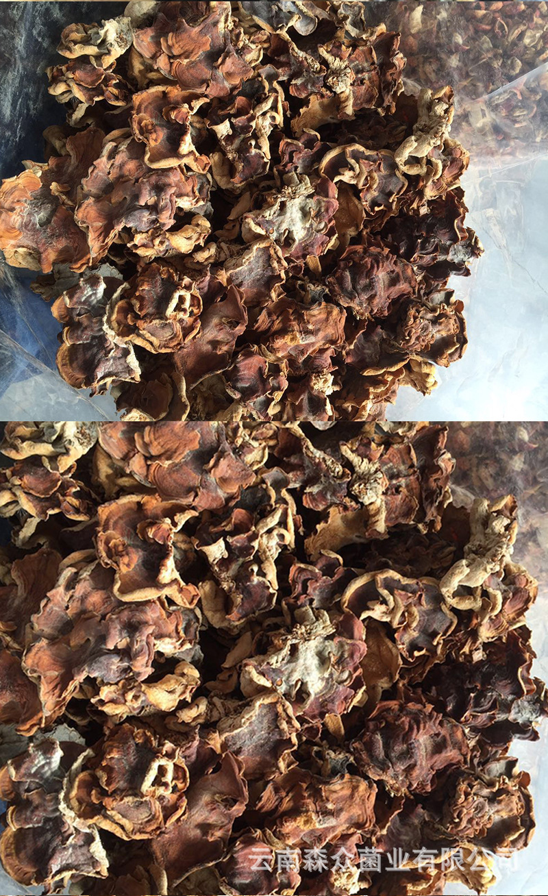 云南食用菌菇榆耳沙木耳榆蘑菌菇榆菇木耳干货 产地销售批发榆耳