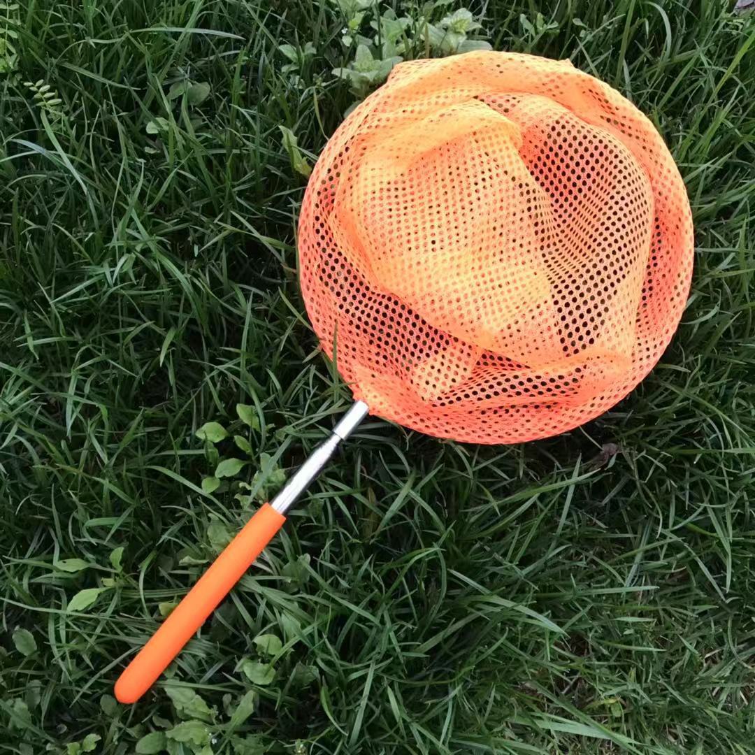 儿童不锈钢伸缩渔网 捕蝴蝶网 捉昆虫网 捞鱼网兜伸缩网戏水玩具