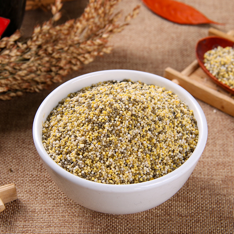 厂家批发四色什锦小米八宝米十谷米五彩米红豆薏仁米有机杂粮粥米