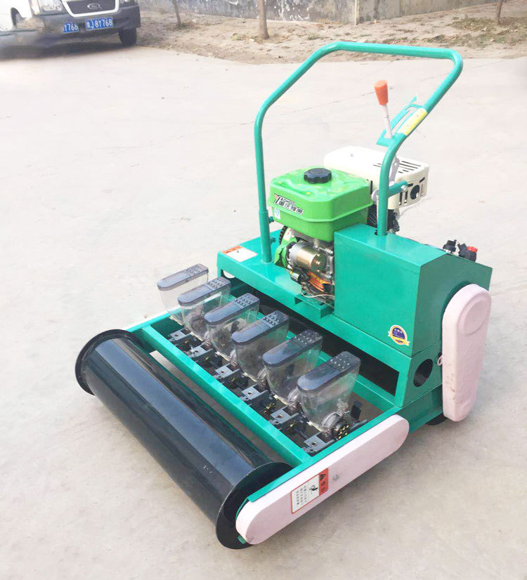 小颗粒蔬菜种子播种机 手推3行菠菜芹菜种植机 株距可调大棚种菜