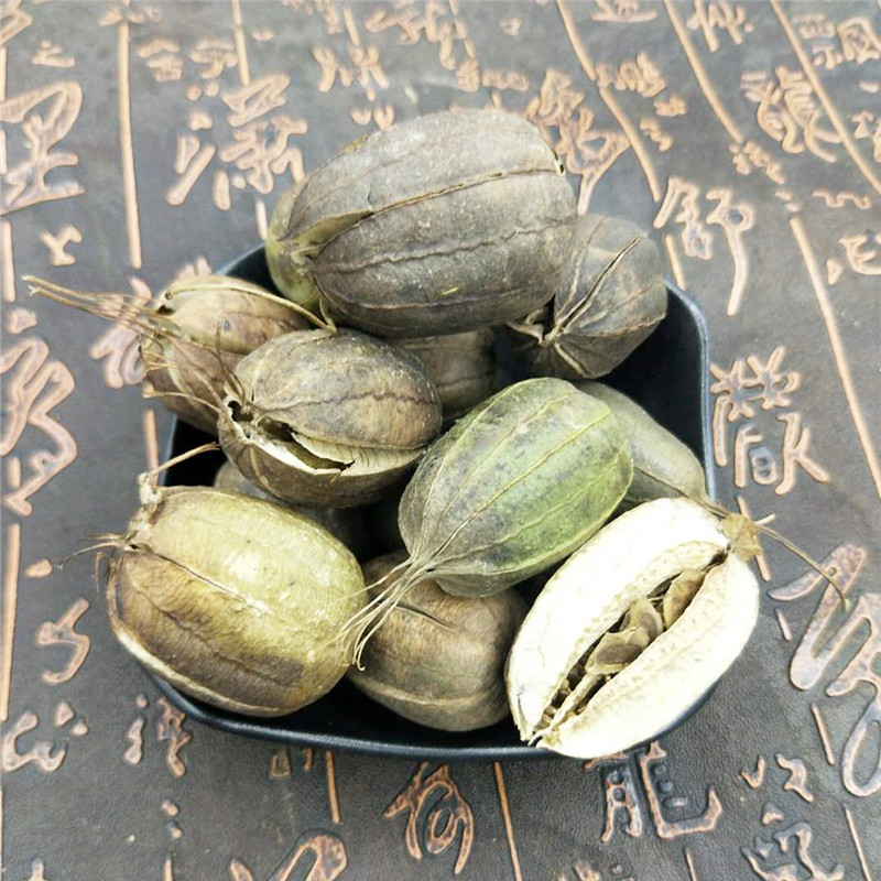 无硫新货 马兜铃 中药材 水马香果 蛇参果 马兜铃 净货无杂