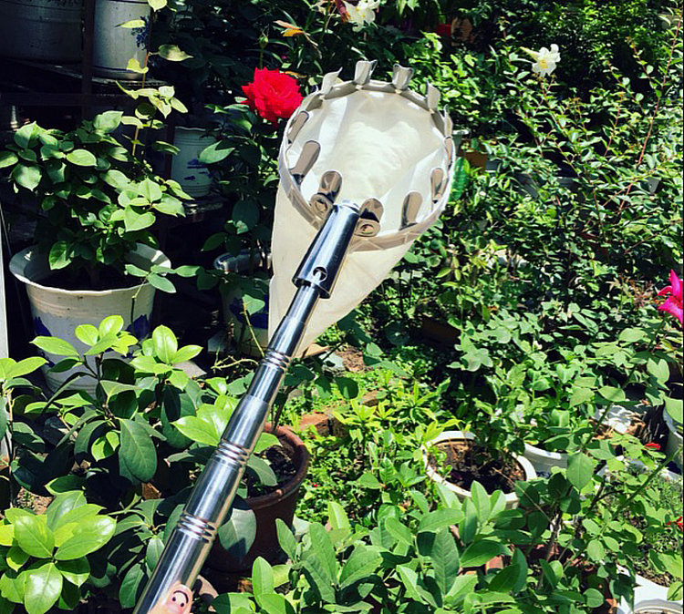 高空摘果器采摘器采果器勾果器柿子摘水果核桃园艺工具可配伸缩杆