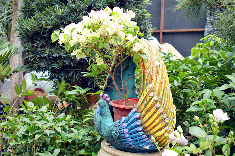 孔雀花盆是否专利货源否加印logo不可以产地福建包装普通包装造型卡通