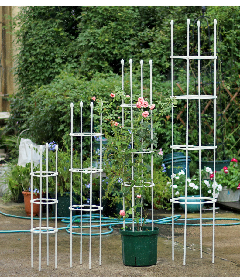 园艺爬藤月季植物花支架阳台组合花架家用爬藤架铁线莲攀爬支撑架