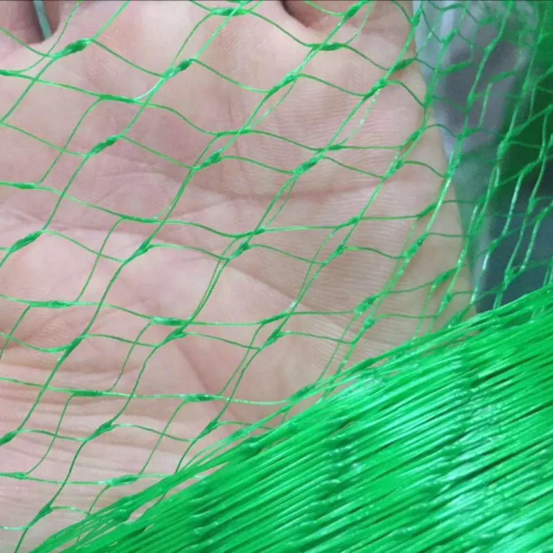 厂家批发防鸟网樱桃葡萄果园防鸟网耐用园林塑料网果树防护网