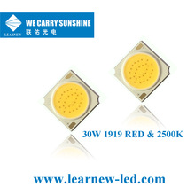 1919倒装芯片 COB 30-60W发光面17  高光效FLIP CHIP LED COB光源