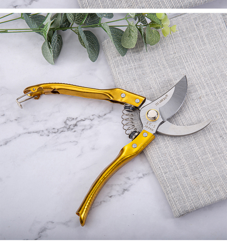 不锈钢果树剪刀多功能果枝剪强力园艺剪刀栽培花园修枝剪园林工具
