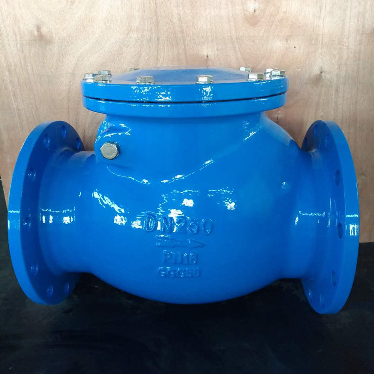 旋启式止回阀 硬密封逆流阀 耐腐蚀止回阀 h44t 球铁 法兰连接