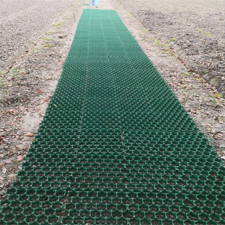 生态停车场植草格生活社区绿化树木保护草坪格家用小车停车位板材