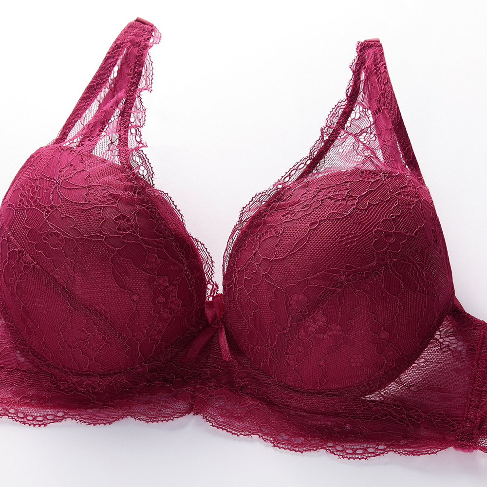 欧美奢华蕾丝上薄下厚透明女士文胸性感胸罩透气内衣套装一件代发