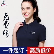 纯棉polo衫定制印logo翻领短袖工作服t刺绣diy广告文化衫聚会班服