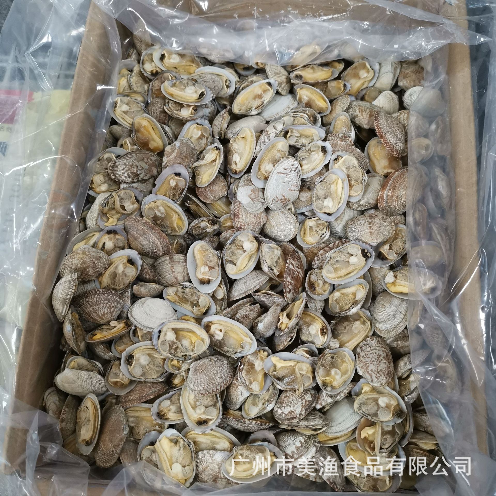 冷冻半壳 花蛤花甲 蛤蜊肉 无沙花甲肉活剥去壳蚬子肉贝 没冰10斤
