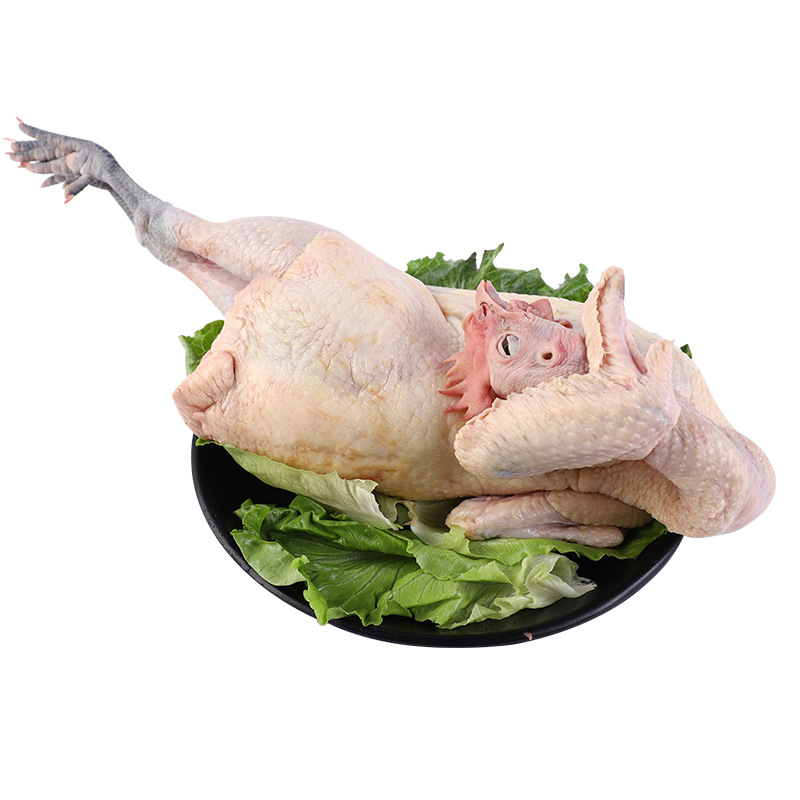 广元土母鸡煲汤优选新鲜土鸡现杀发货土母鸡农家饲养土鸡非冷冻型