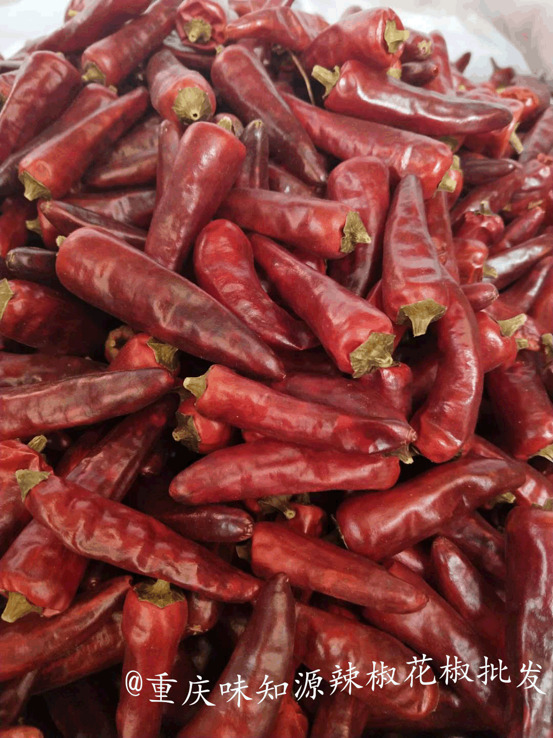 重庆直发石柱红3号重庆红辣椒火锅底料增辣干辣椒批发1份500g