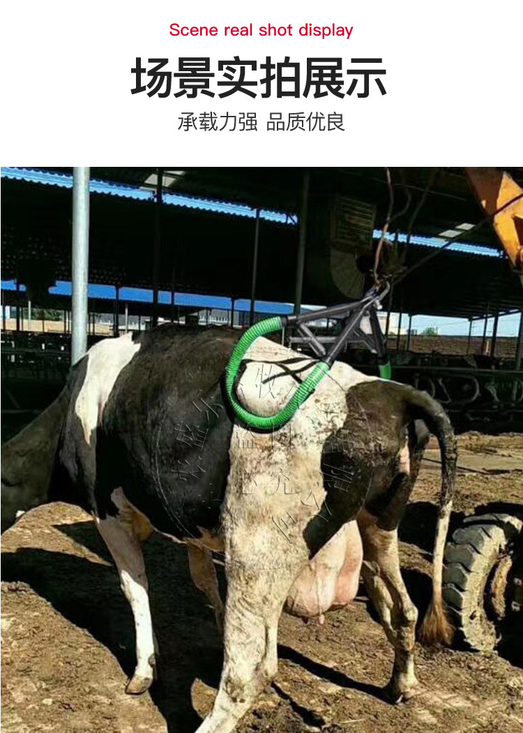 奶牛用起立架牛用辅助起立架站立架奶牛提牛器牛吊架牛吊架牵引器