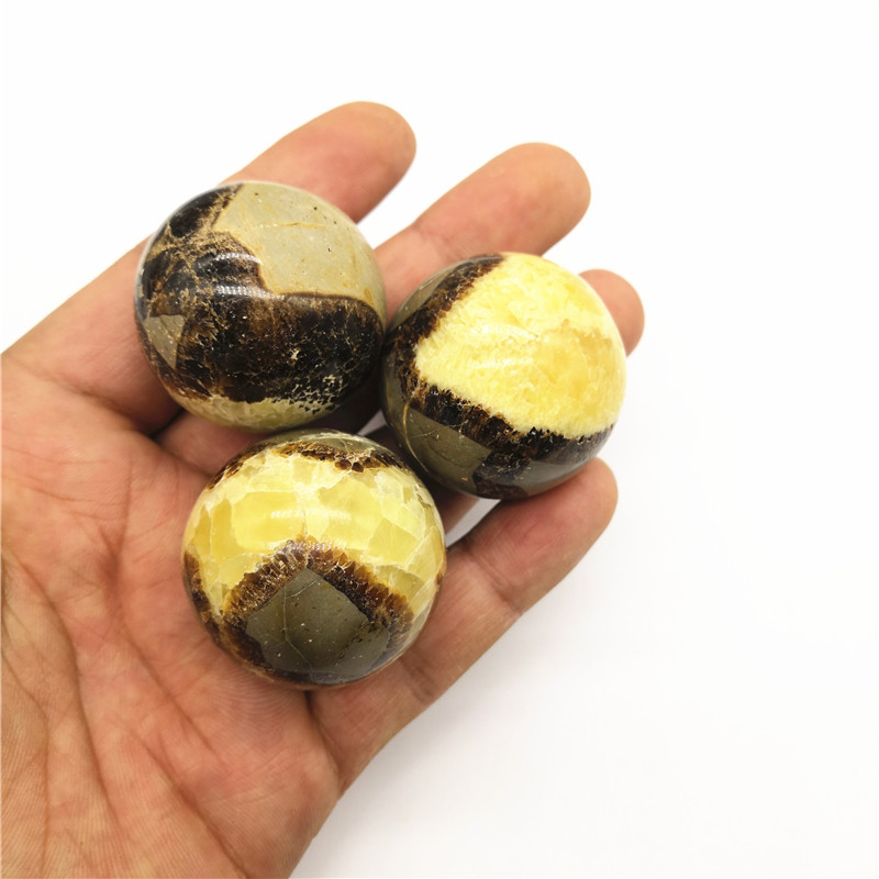 天然龟背石球原石风水摆件手把玩化石矿石鱼缸造景矿物标本水晶球