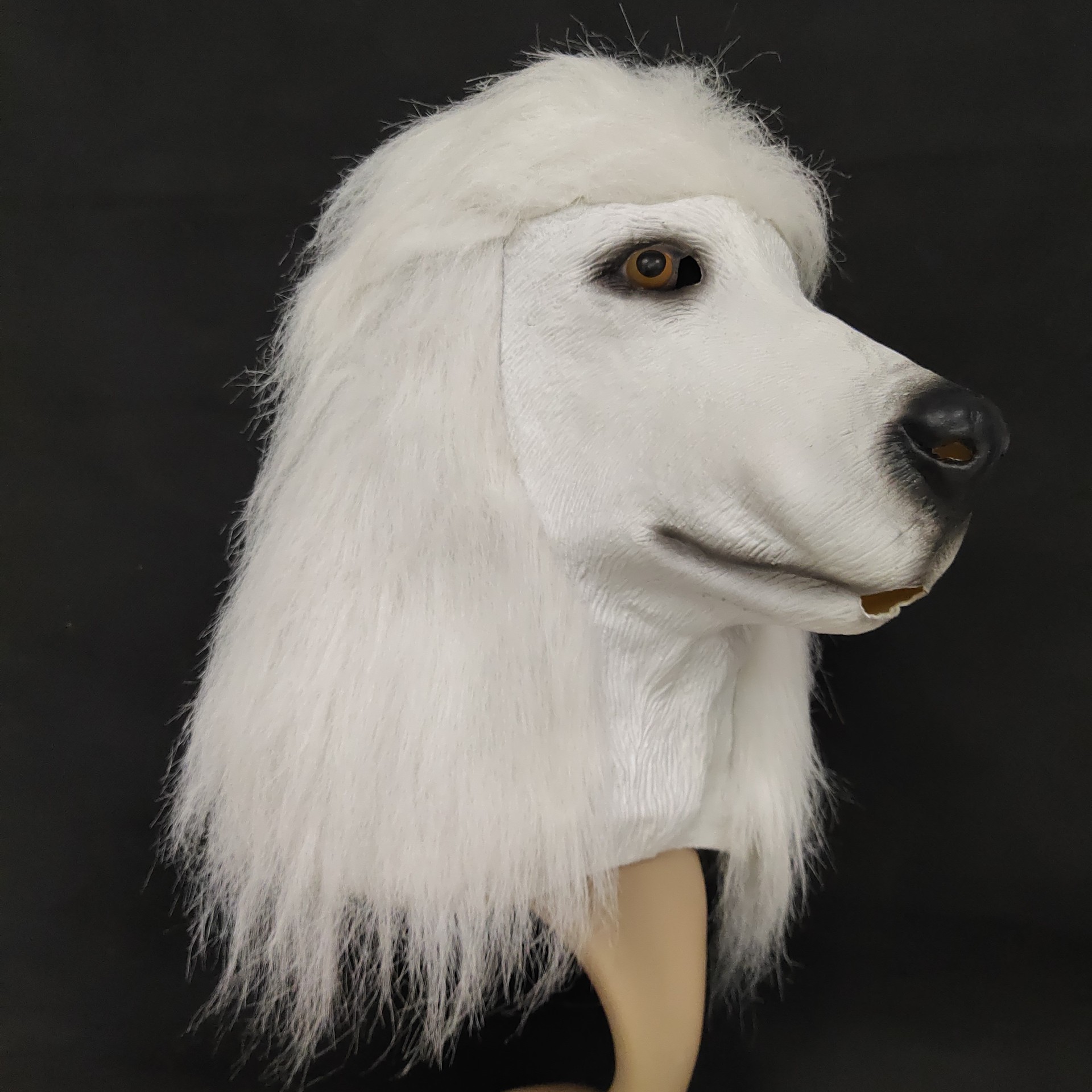 可爱乳胶贵宾犬面具动物狗头套万圣节狗头化妆派对道具直播厂家