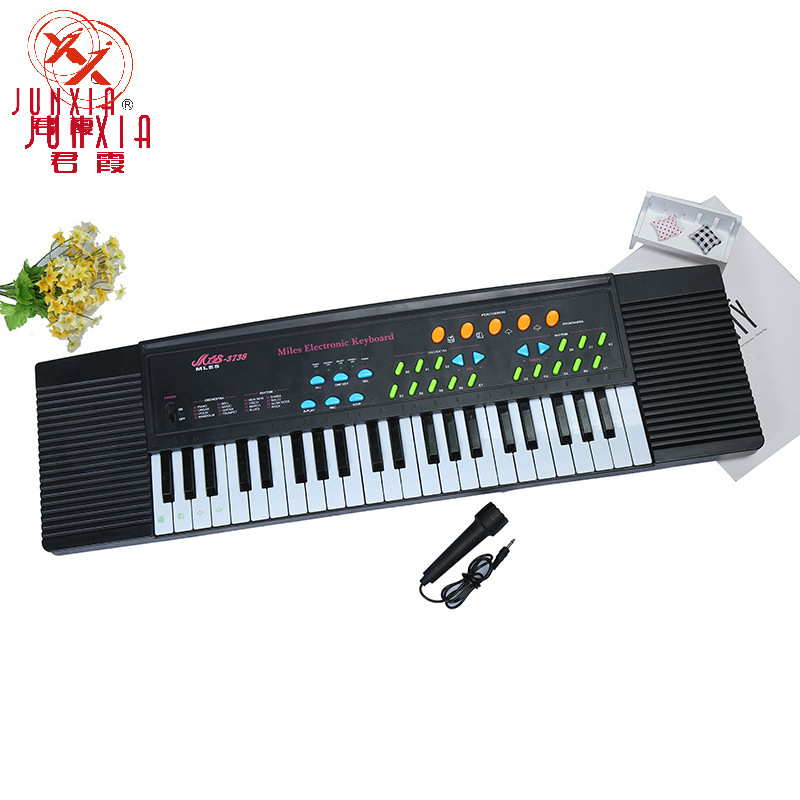 Factory Wholesale 37 Key Multi-Function Electronic Organ Toy Plucked Practice Electronic Organ Children's Toy Sports Outdoor