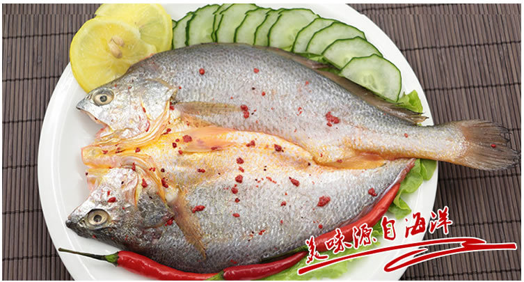 诚招酒糟黄鱼鲞糟香大黄花鱼黄瓜鱼冷冻代理