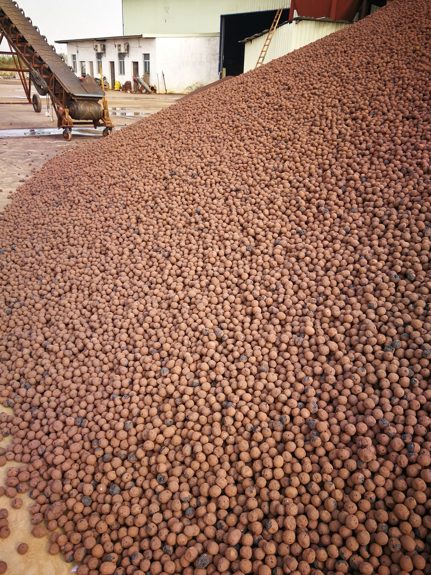 建筑陶粒园林陶粒装饰陶粒小颗粒中颗粒大颗粒等