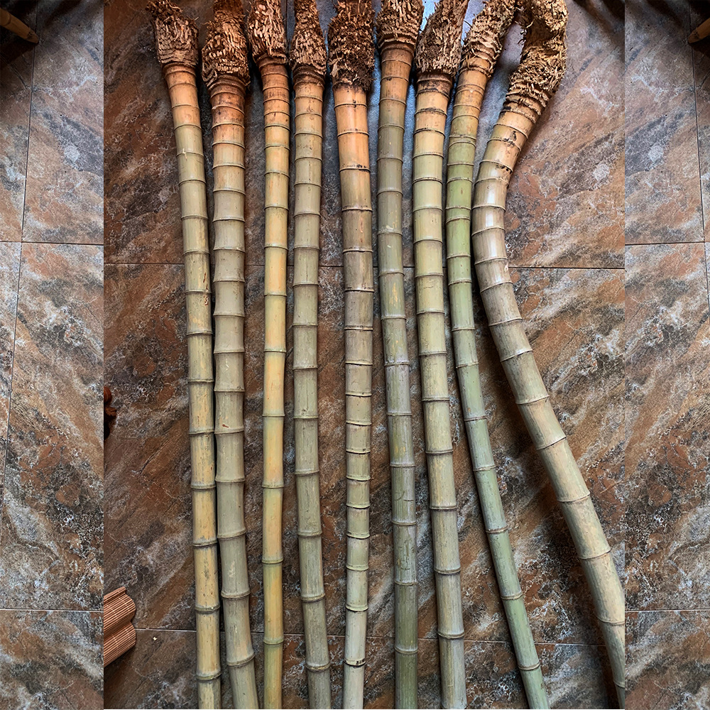 厂家直供小竹根原料竹根竹鞭竹头材料手把件渔具原材料根雕拐杖料