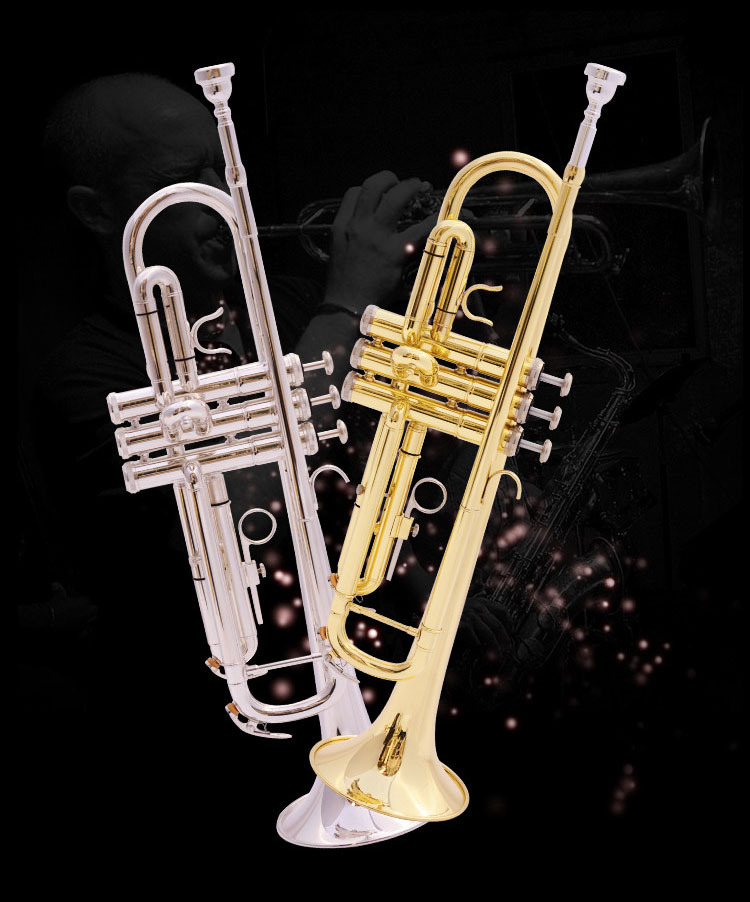 峰臣批发小号乐器 降b调三音号初学演奏考级专业乐队黄铜西洋乐器