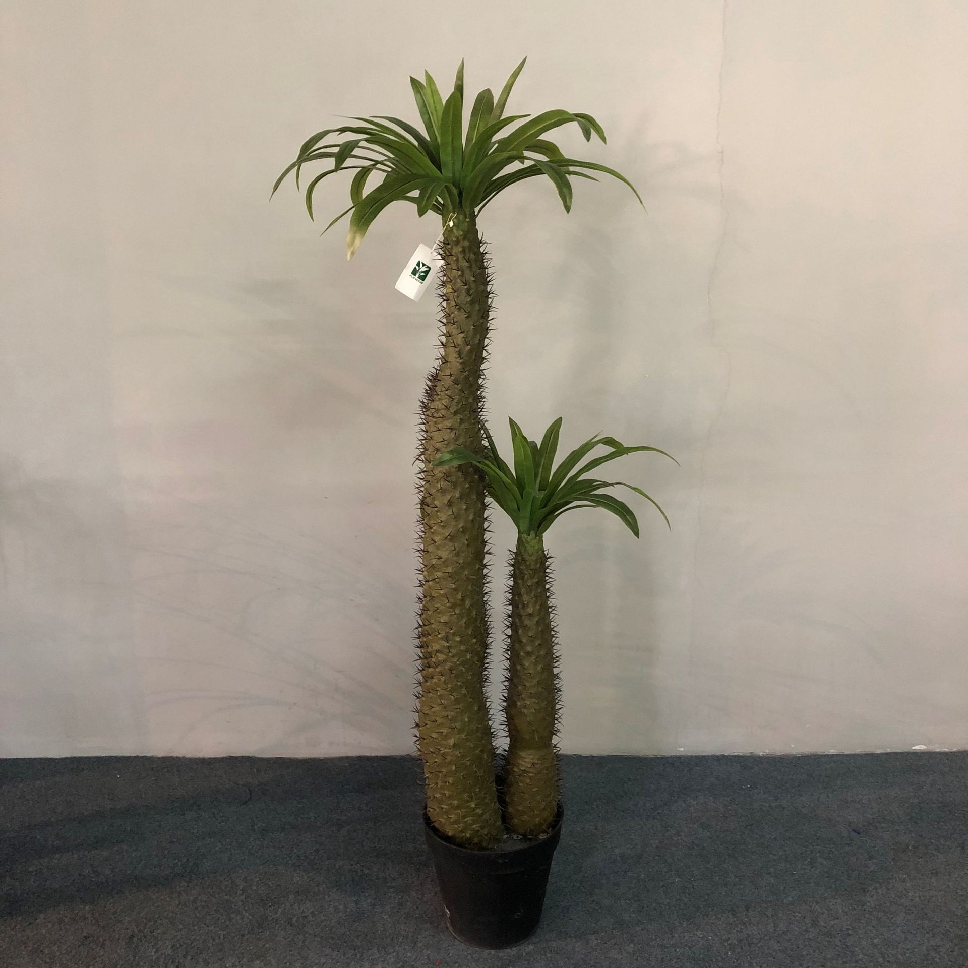 仿真植物巴西龙骨非洲盆栽霸王树霸王鞭绿植家居室内摆件ins装饰