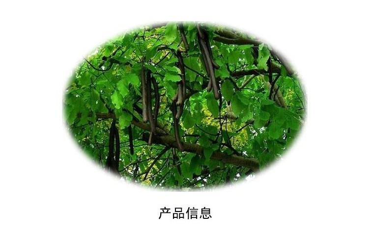 批发2020年新货天然野生缅甸袋装大解果便秘果腊肠果牛角树肠宿