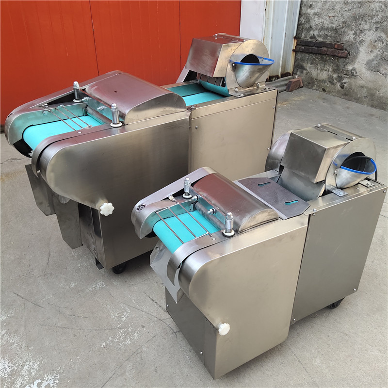 供应学校多功能切菜机 传送带蔬菜机 海带切丝机 蔬菜加工机器