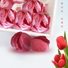 lady cosmetology clean technology Soap Flower currency combination suit manual tulips Soap flower