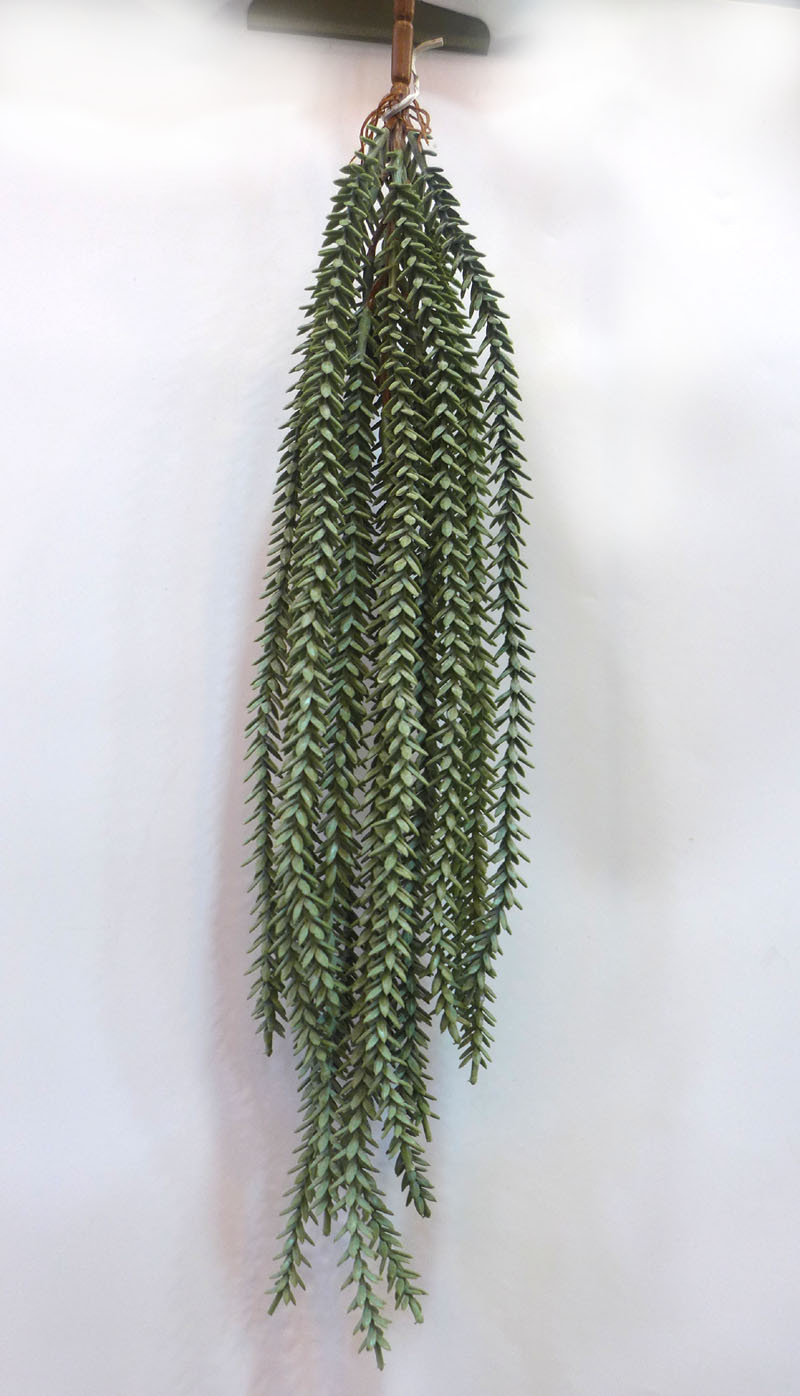 18头小龙尾草-灰绿.jpg