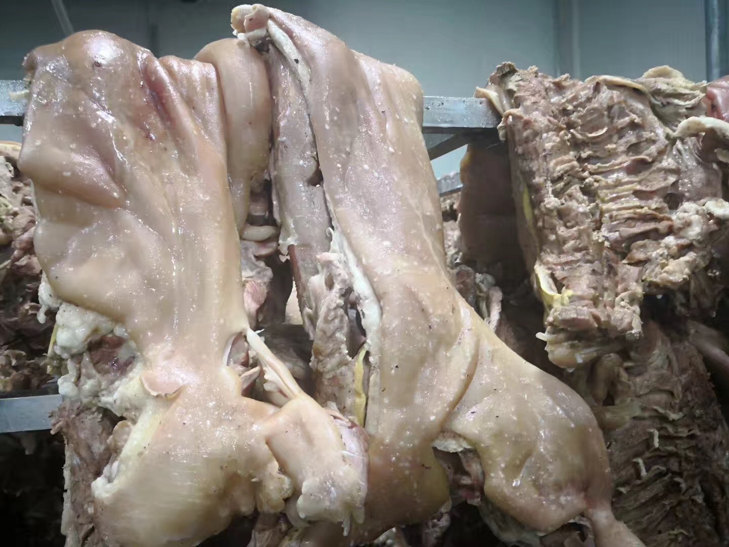 带皮纯白绵羊肉 蒙古国进口 皮质纯白 白切羊肉的至上选择