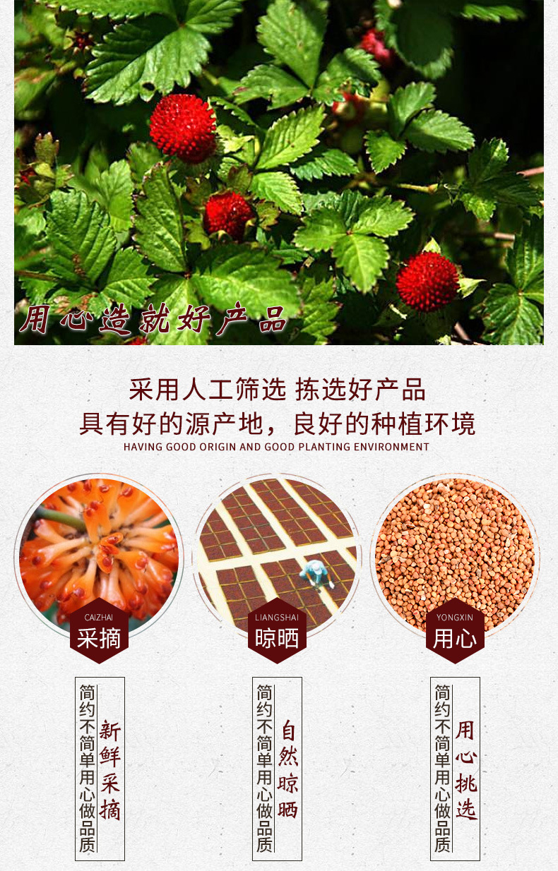 中药材褚实子 500克 褚实籽褚实米楮实米楮实楮桃构树果