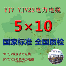 国标WDZ-YJY/YJV-5*10平方铜芯电力电缆线华新/珠江/穗星/胜宇