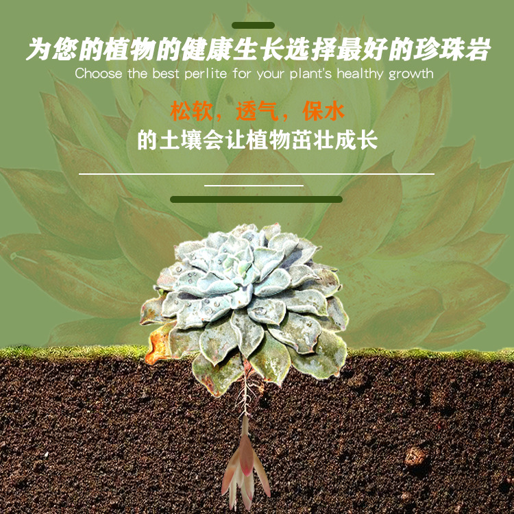 厂家直销植物保温用珍珠岩楼板减重保温珍珠岩多肉基质用珍珠岩