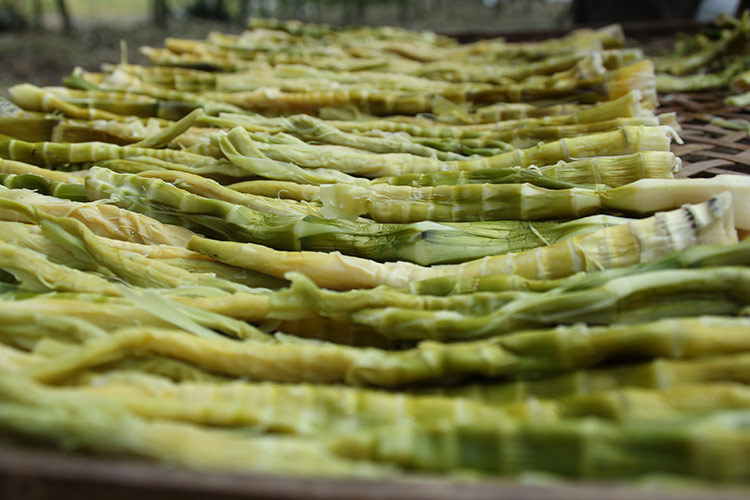 20新上市临安土特产农家天目笋干盐笋干雷笋羊尾笋干厂家直销批发