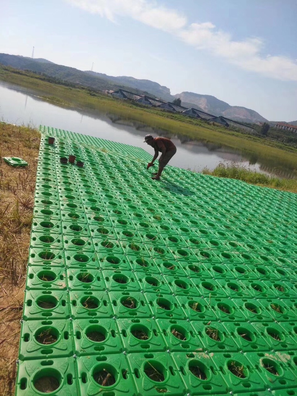 生态浮岛 水生植物浮床 生态浮床 人工浮床 生态浮盆 生态浮盘