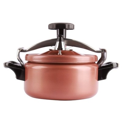 迷你小高压锅小压力锅压锅菜压锅小型高压锅18cm压力锅电磁炉适用